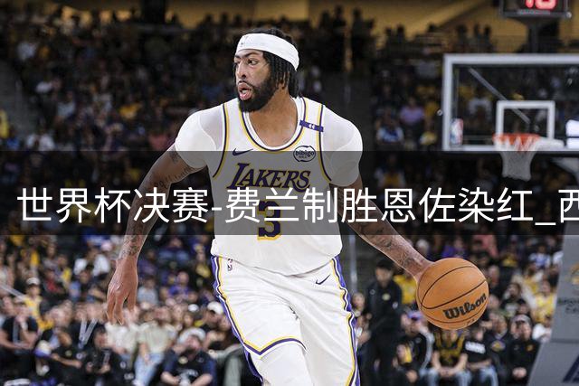 世界杯决赛-费兰制胜恩佐染红 西班牙加时1-0阿根廷夺冠