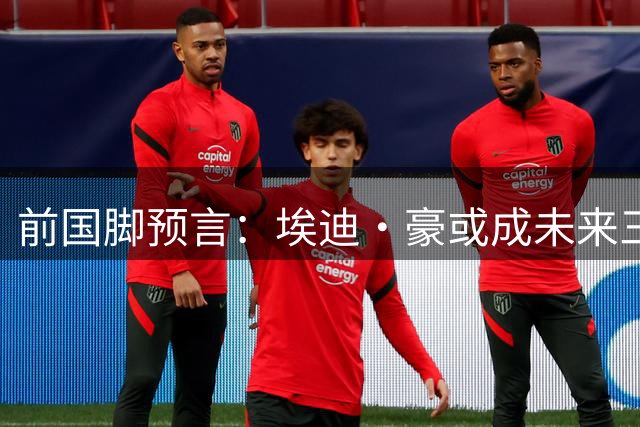 前国脚预言：埃迪·豪或成未来三狮军团掌舵人