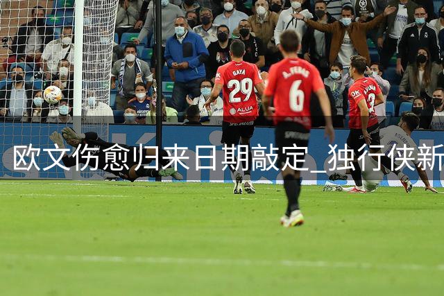 欧文伤愈归来日期敲定 独行侠新赛季迎来转机