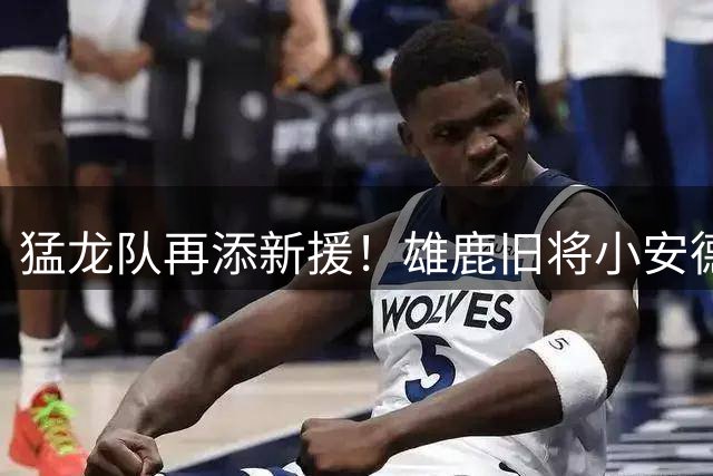 猛龙队再添新援！雄鹿旧将小安德烈·杰克逊获训练营邀约