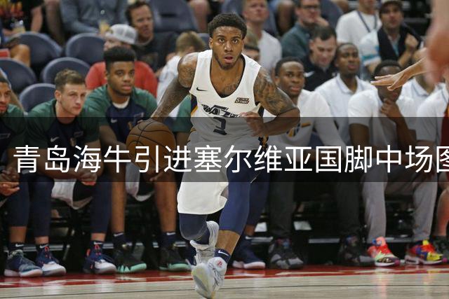 青岛海牛引进塞尔维亚国脚中场图费格季奇